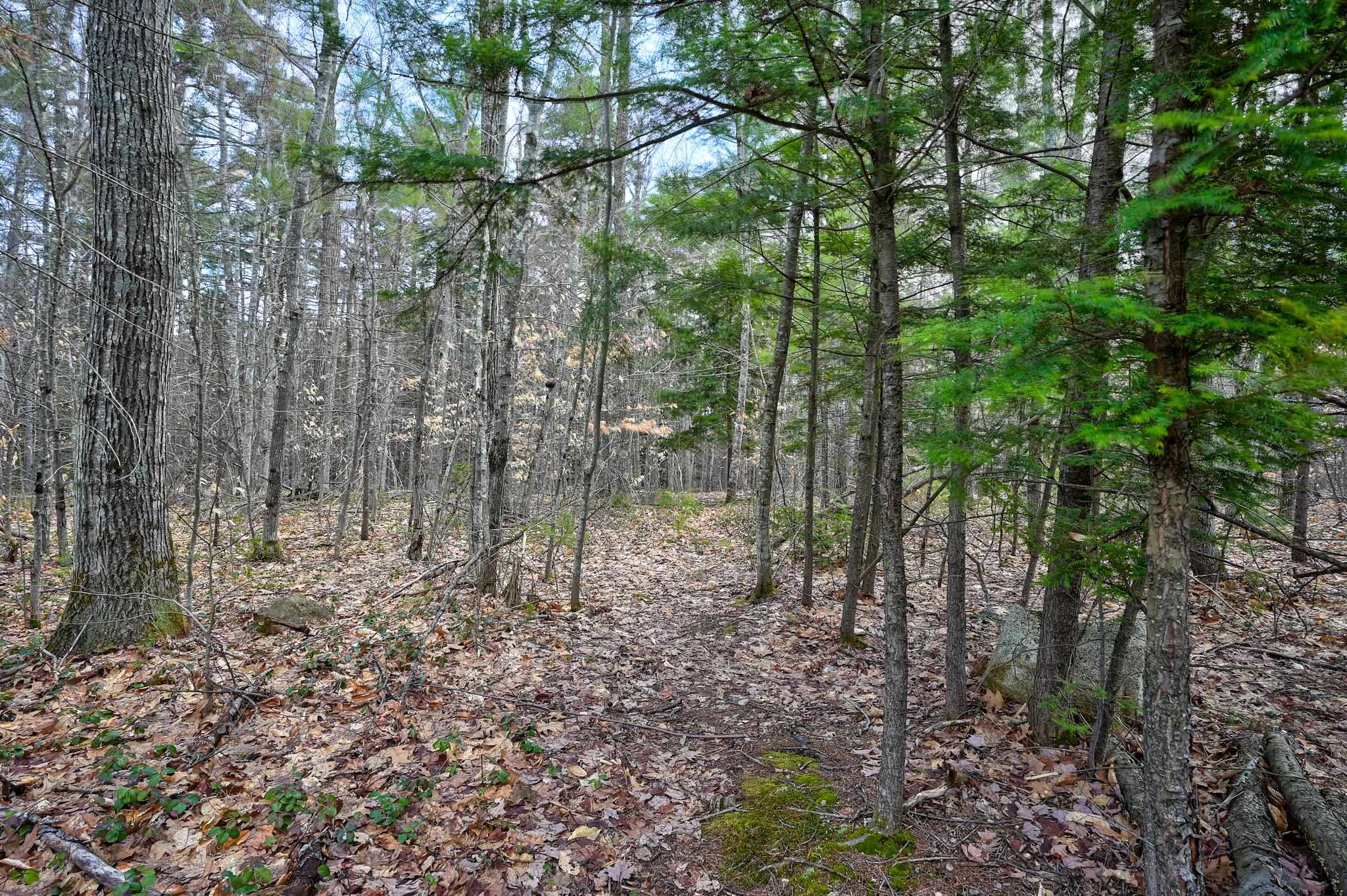 2500 West Side Road Conway, NH 03860 - Photo 48 of 56
