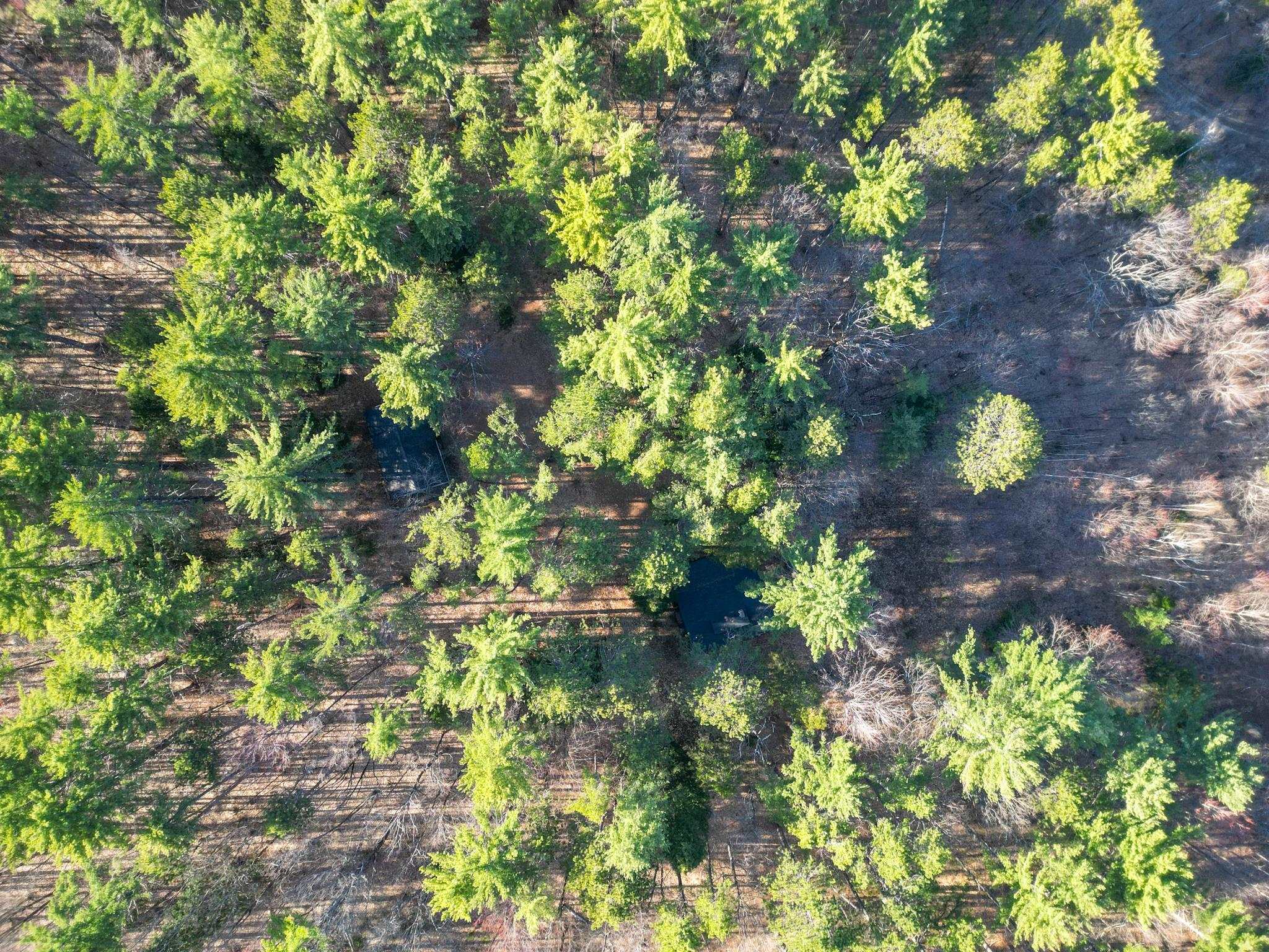 2500 West Side Road Conway, NH 03860 - Photo 52 of 56