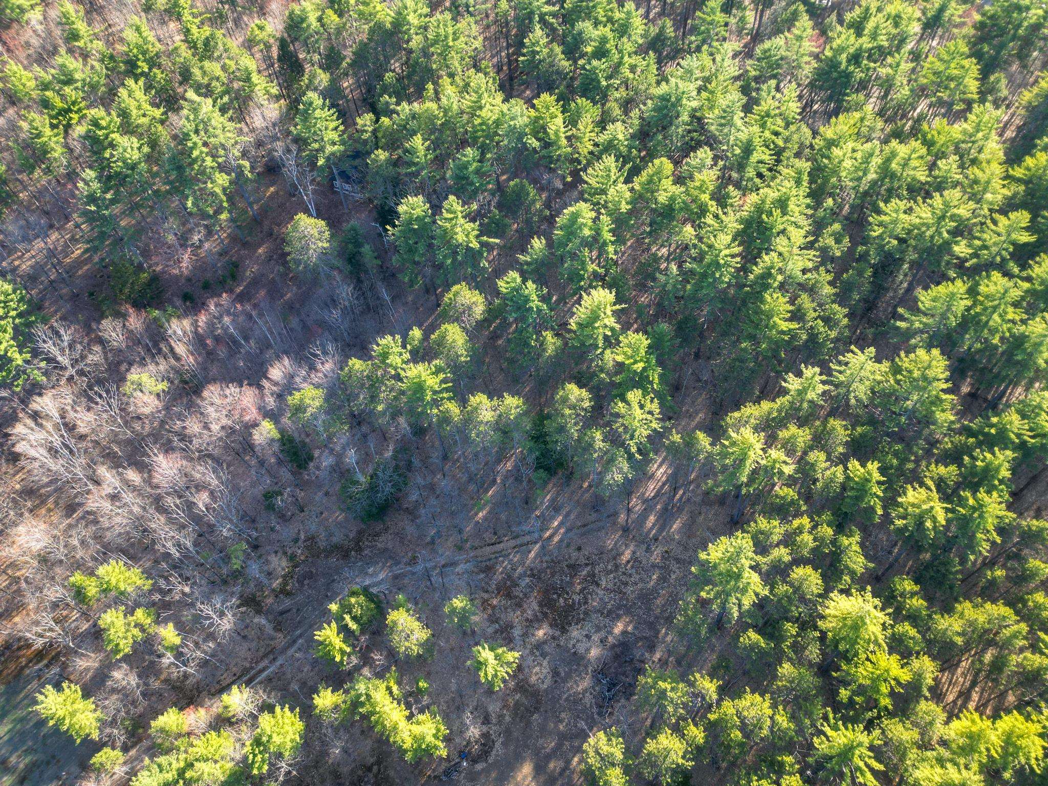 2500 West Side Road Conway, NH 03860 - Photo 53 of 56