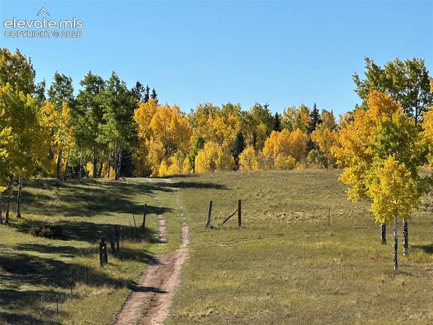 2940 NORTH Rd Divide Divide, CO 80814 - Photo 4 of 27 Gallery Image 4