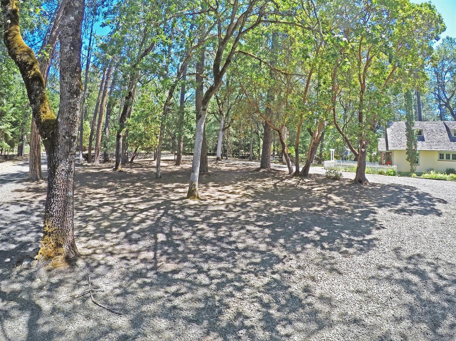 765 Old Ferry Road Shady Cove, OR 97539 - Photo 30 of 32 front property has tons of trees! Low ma