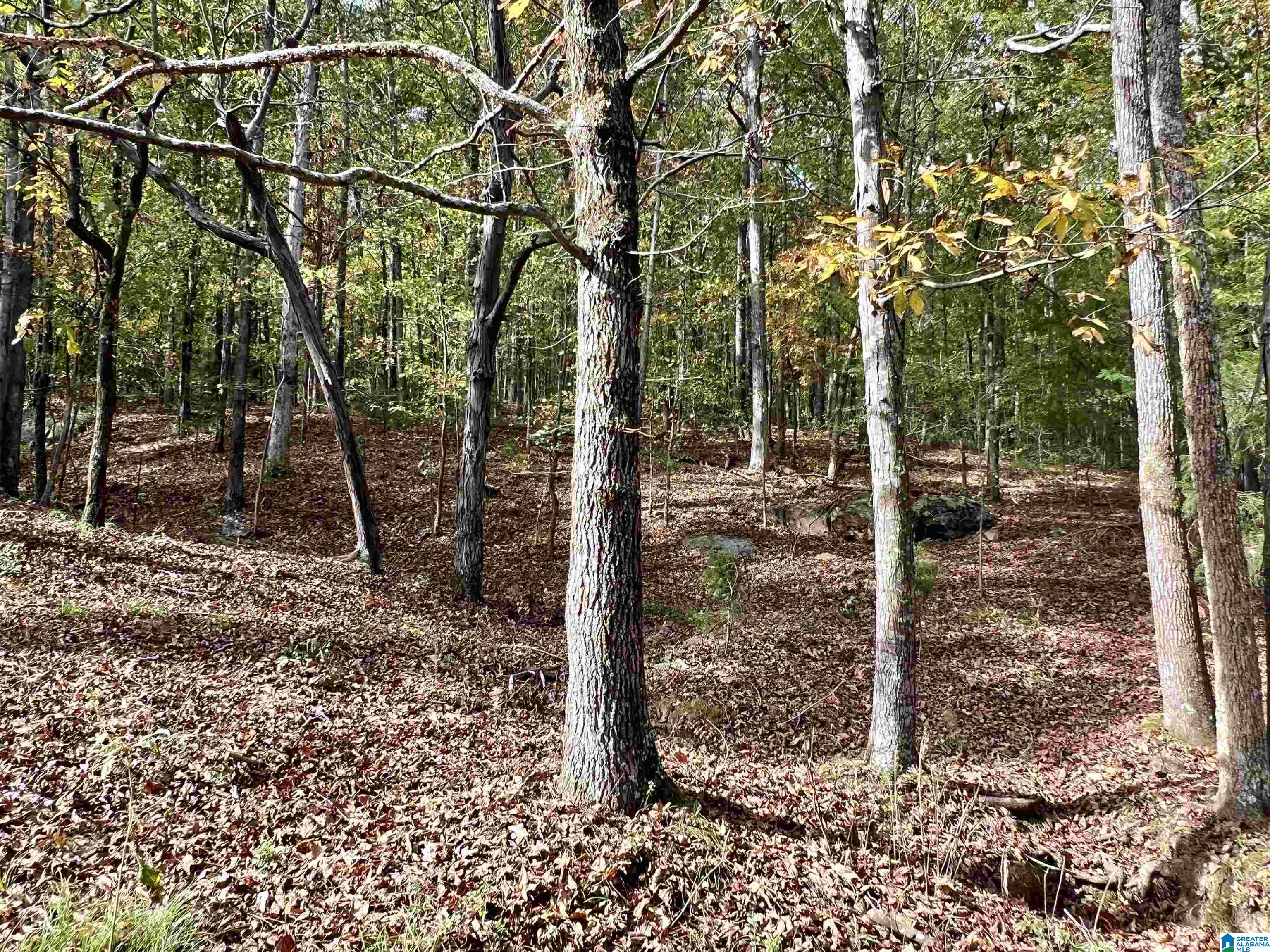 1045 A Sand Valley Road Remlap, AL 35133 - Photo 46 of 70