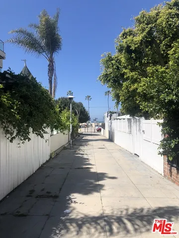 a view of a yard with plants