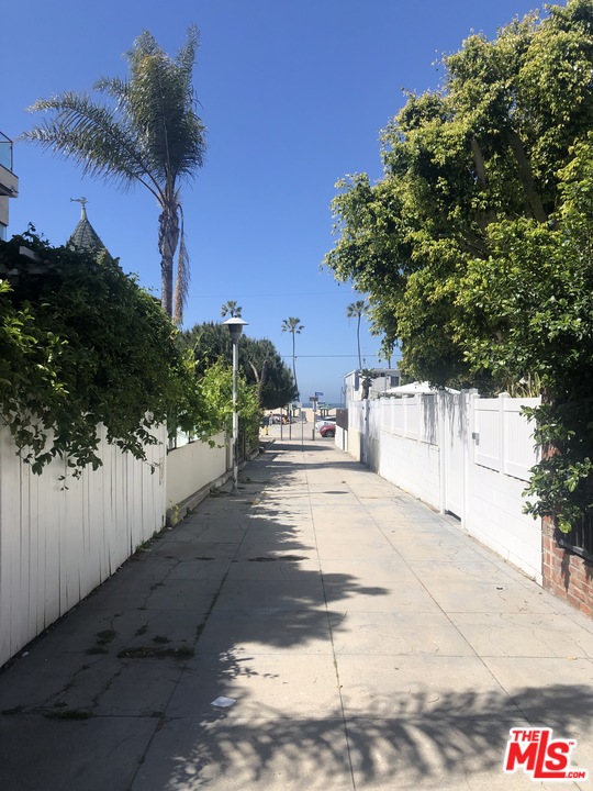 28 Clubhouse Avenue, Unit 1/2 Venice, CA 90291 - Photo 5 of 21 a view of a yard with plants