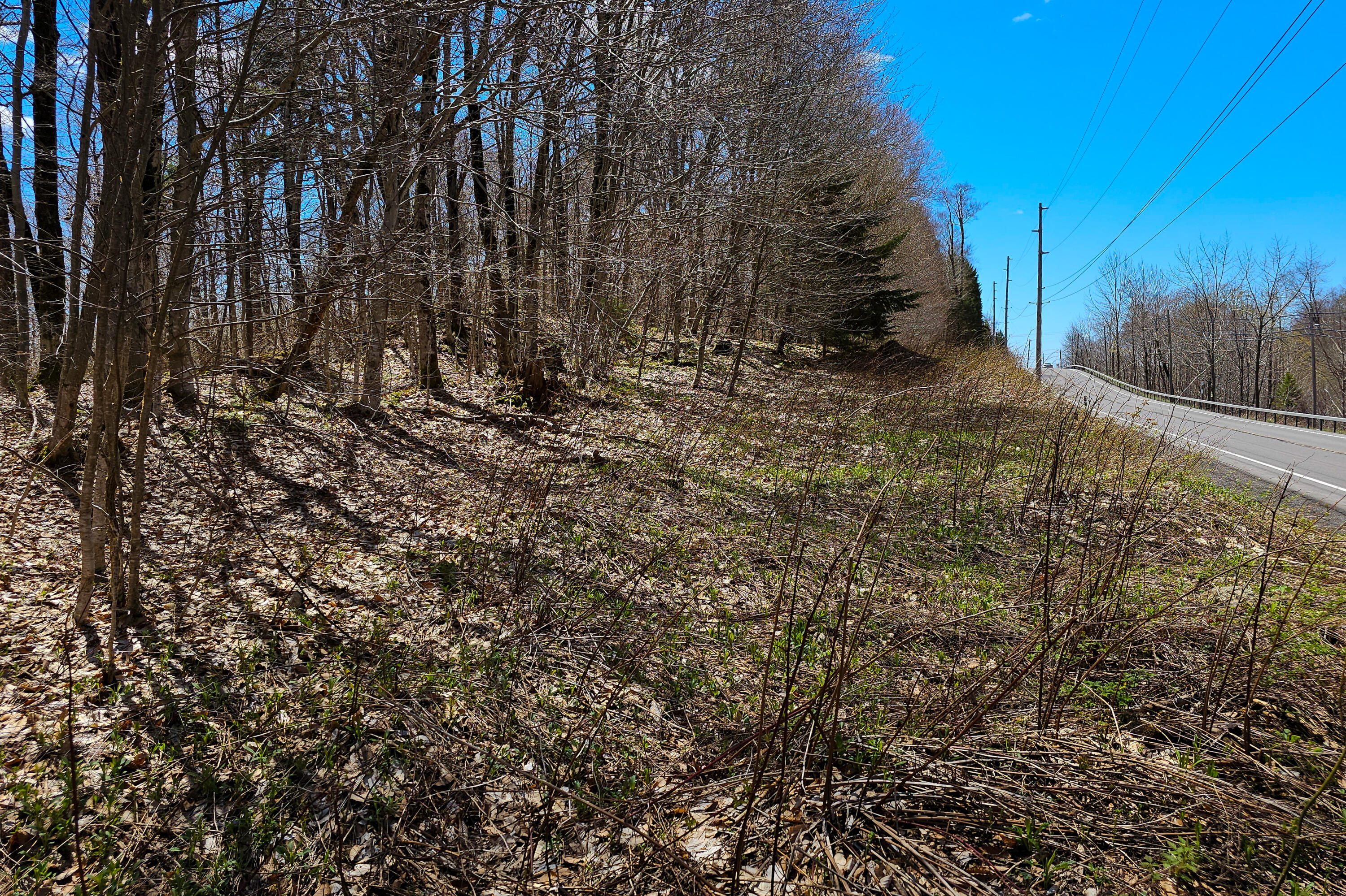 0 Palisades Road West Old Forge, NY 13420 - Photo 13 of 15 20250510_131009