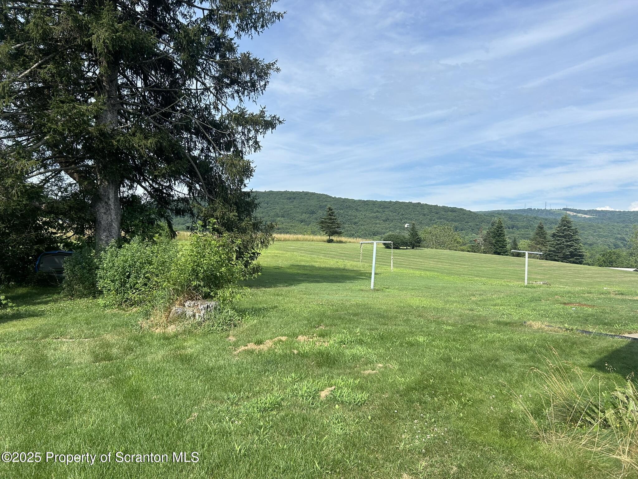 3018 Main Street Clarks Summit, PA 18411 - Photo 9 of 22 Yard