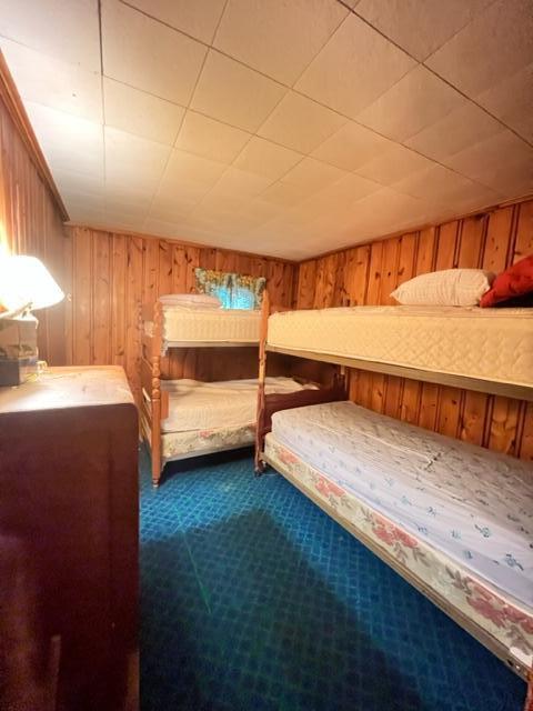 3675 Nasser (120 Acres) Road Fairview, MI 48621 - Photo 20 of 76 Gallery Image 20