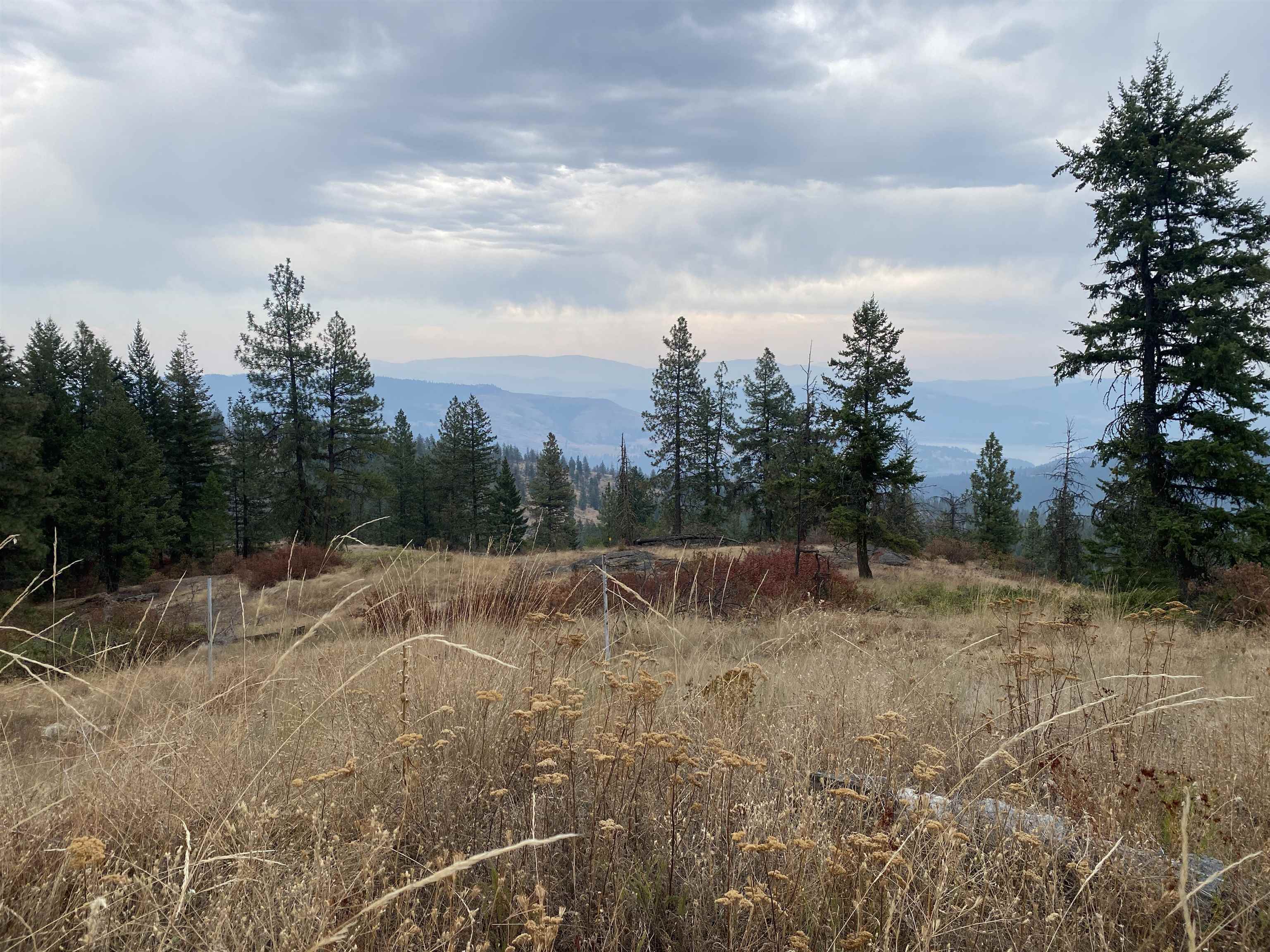 34 Peace Rdg Road Kettle Falls, WA 99141 - Photo 11 of 24