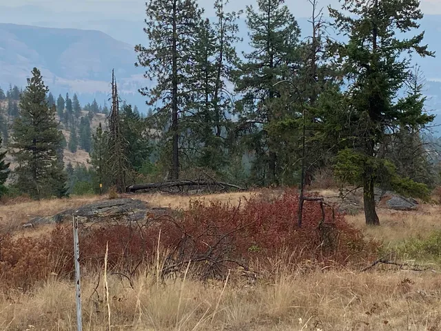 $95,000 | 34 Peace Rdg Road, Kettle Falls, WA 99141