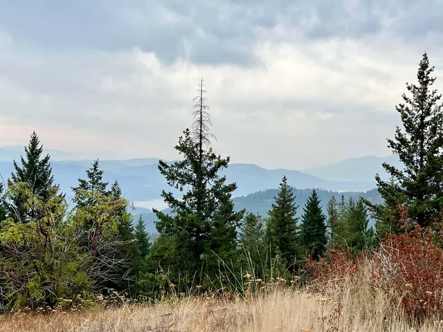 $95,000 | 34 Peace Rdg Road, Kettle Falls, WA 99141