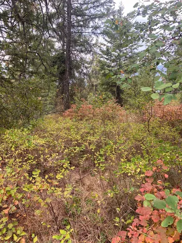 $95,000 | 34 Peace Rdg Road, Kettle Falls, WA 99141