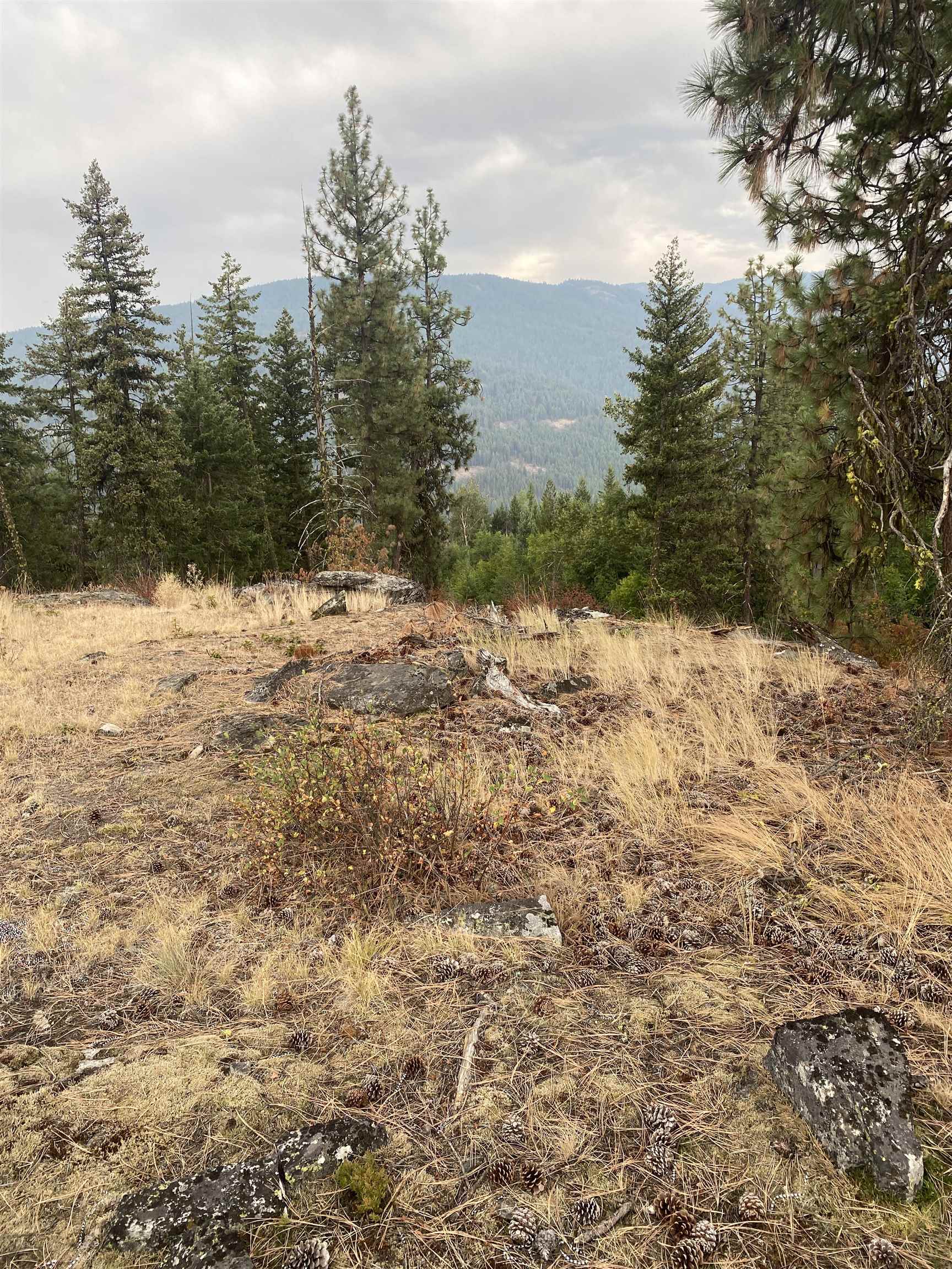 34 Peace Rdg Road Kettle Falls, WA 99141 - Photo 19 of 24