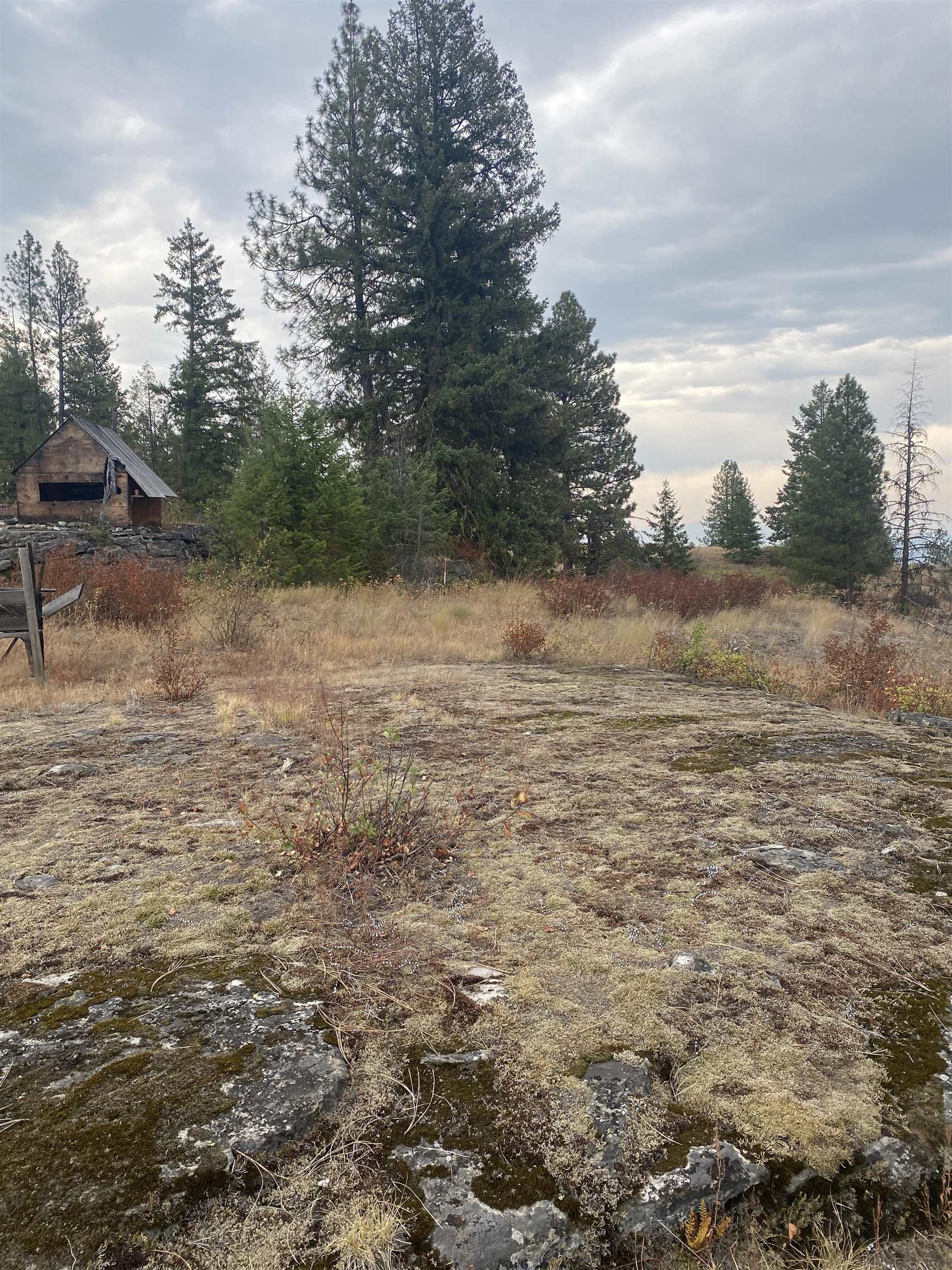 34 Peace Rdg Road Kettle Falls, WA 99141 - Photo 20 of 24