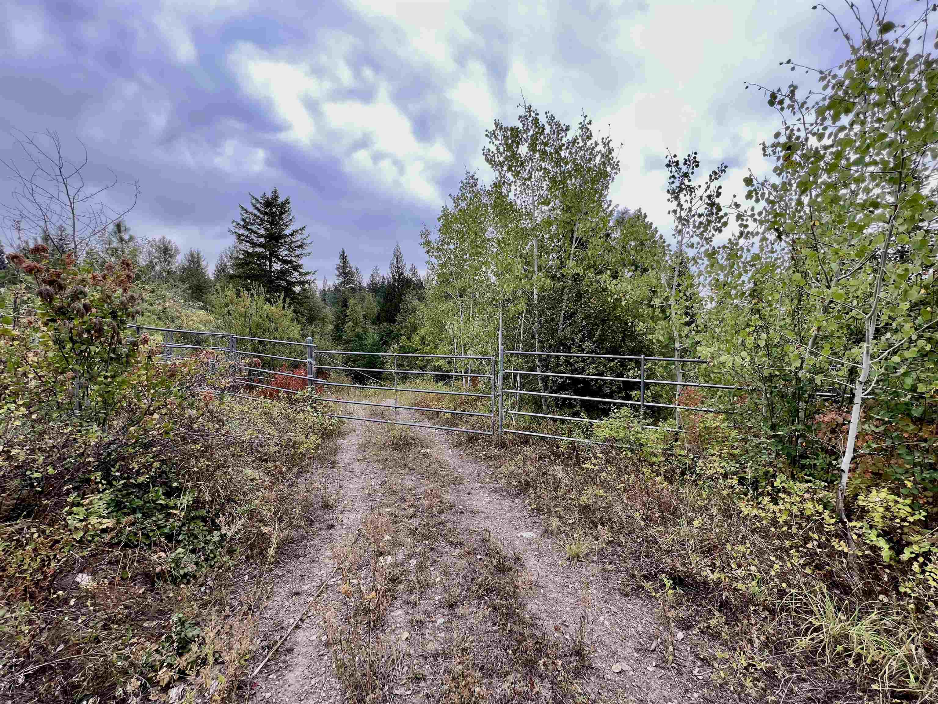 34 Peace Rdg Road Kettle Falls, WA 99141 - Photo 2 of 24