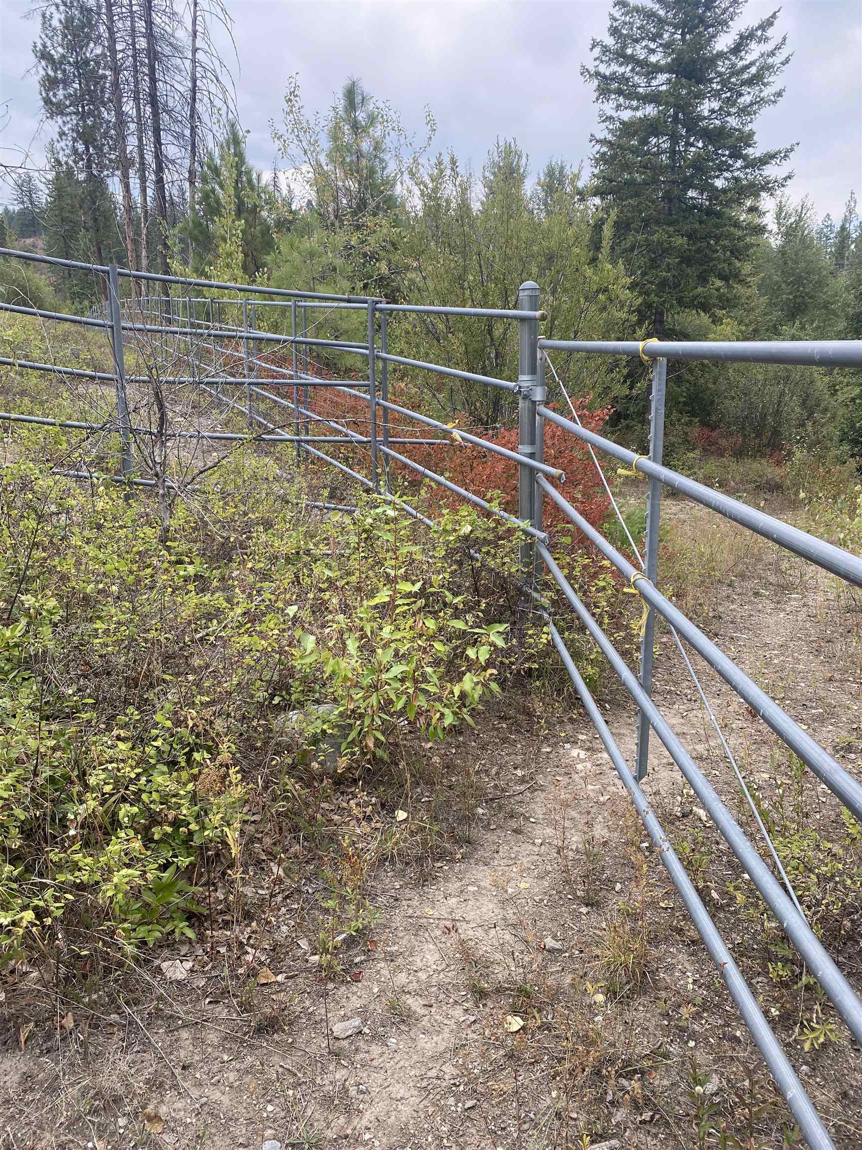 34 Peace Rdg Road Kettle Falls, WA 99141 - Photo 3 of 24