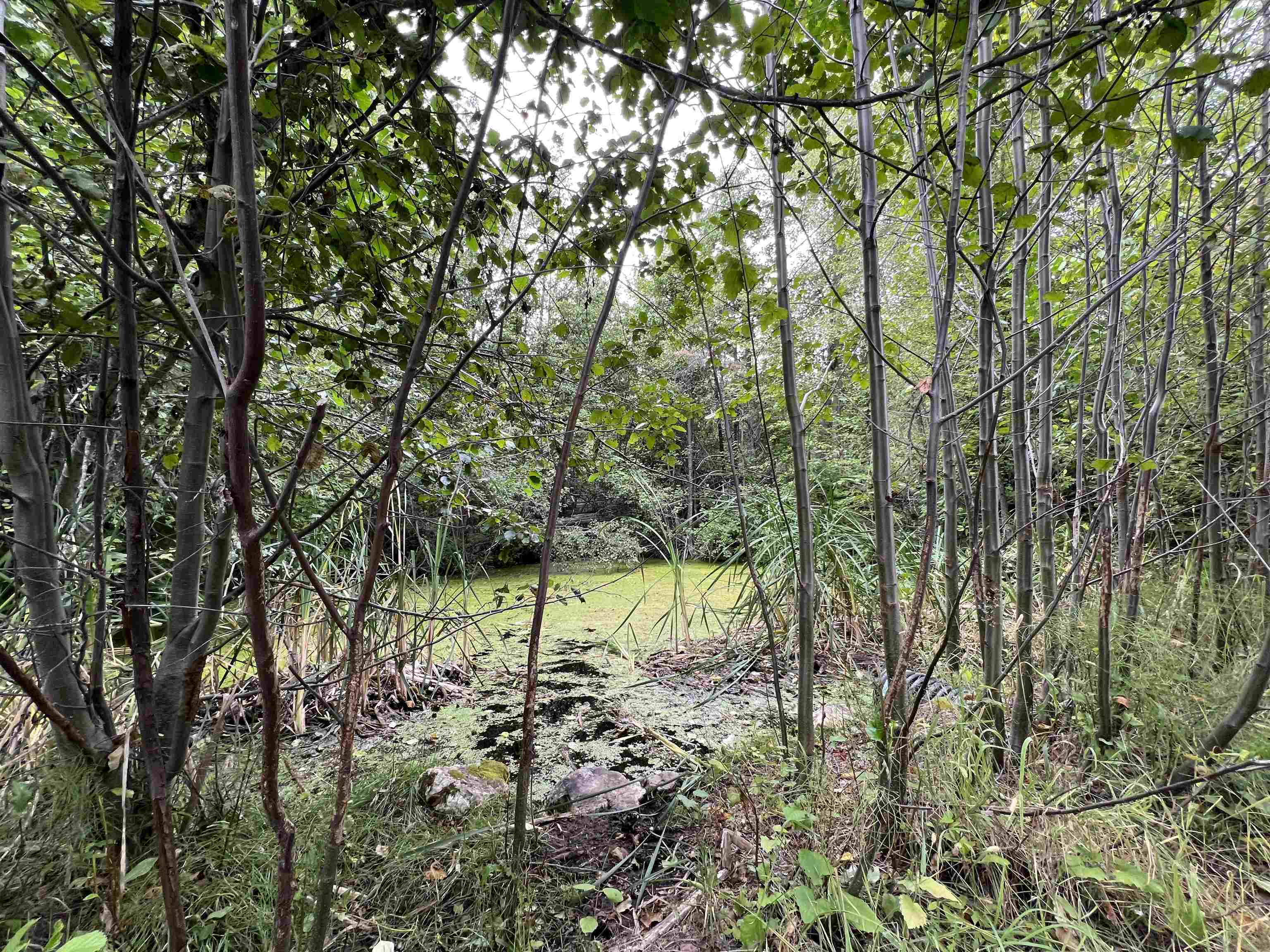 34 Peace Rdg Road Kettle Falls, WA 99141 - Photo 5 of 24