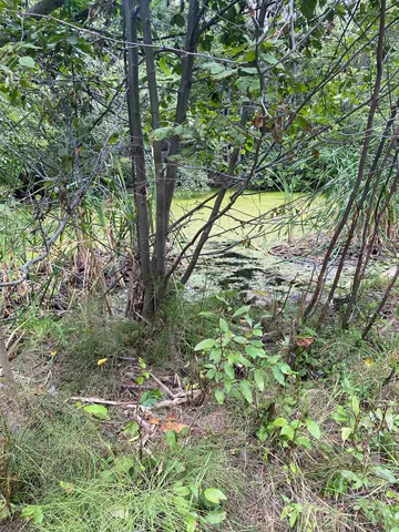 $95,000 | 34 Peace Rdg Road, Kettle Falls, WA 99141