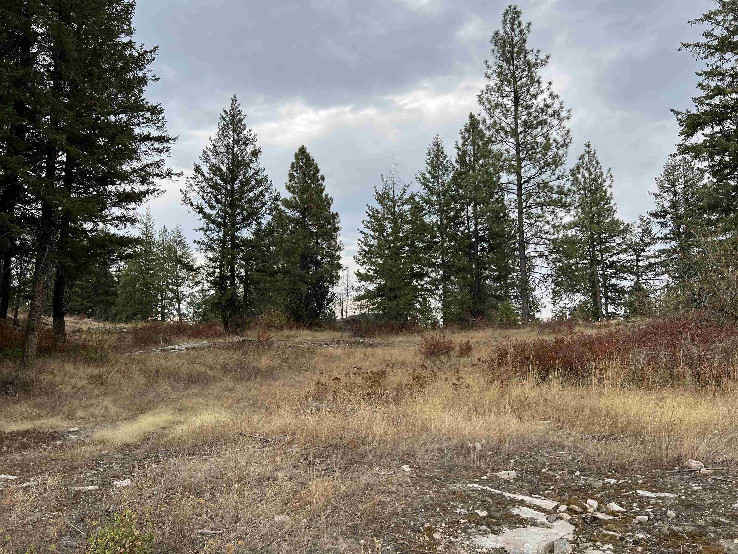 34 Peace Rdg Road Kettle Falls, WA 99141 - Photo 9 of 24