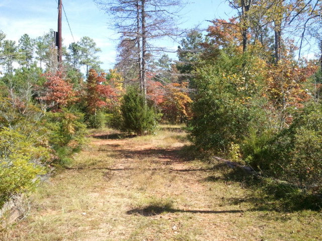 Smalley Road Modoc, SC 29838 - Photo 1 of 1 Main View