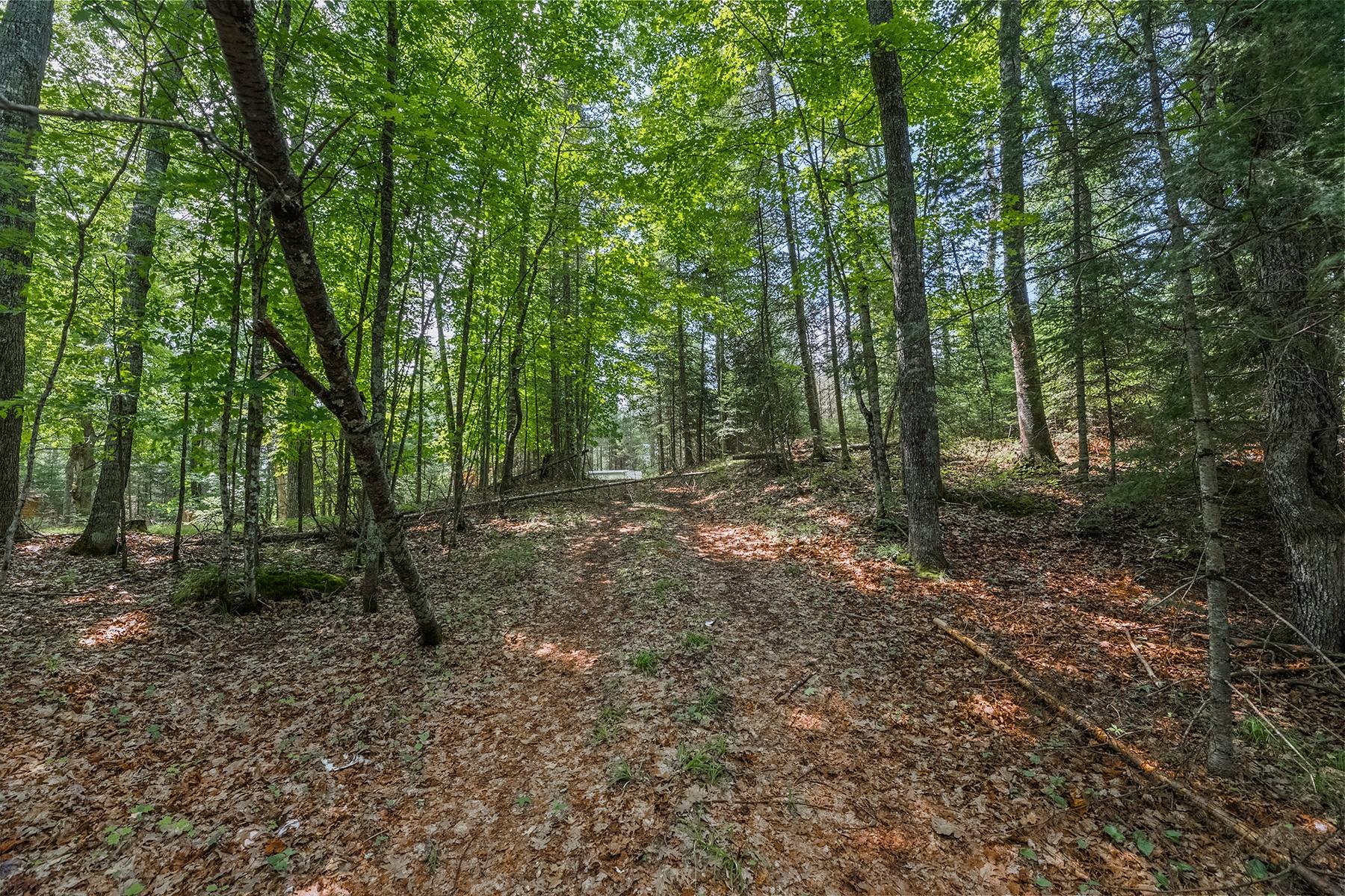 Lot 62 Bald Eagle Road Presque Isle, WI 54557 - Photo 17 of 35 Gallery Image 17