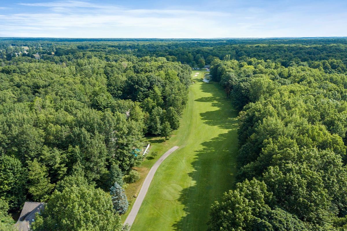 6758 Beechnut Ridge Canadian Lakes, MI 49346 - Photo 45 of 49 IMG_1004