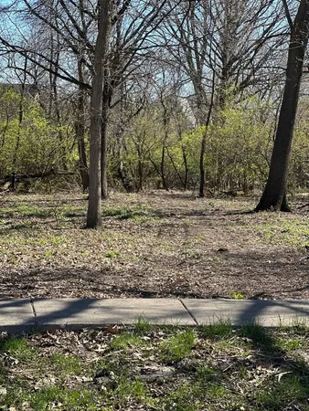 a view of a yard with a tree