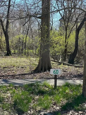 a view of a garden with trees