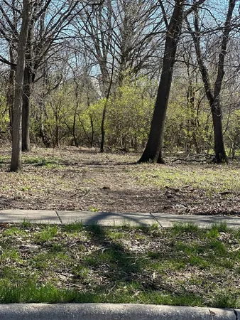 a view of a yard with a tree