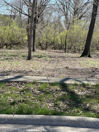 a view of a yard with plants and trees