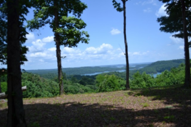 0 Rock Fish Road East Celina, TN 38551 - Photo 22 of 27