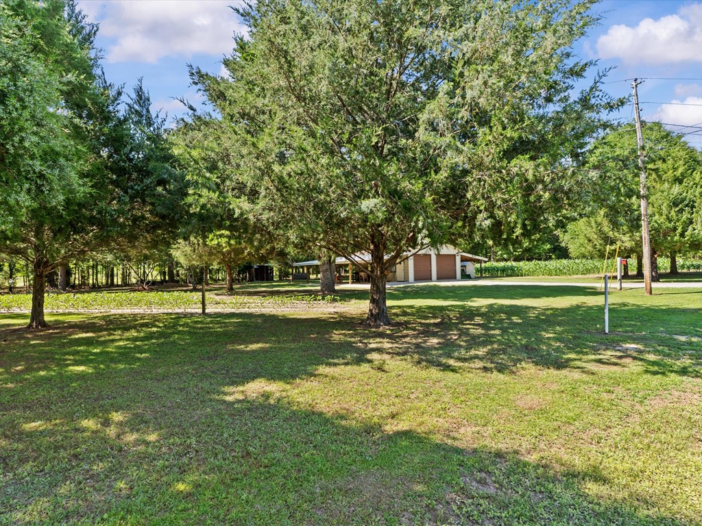 32724 Bozeman Road Dozier, AL 36028 - Photo 48 of 59