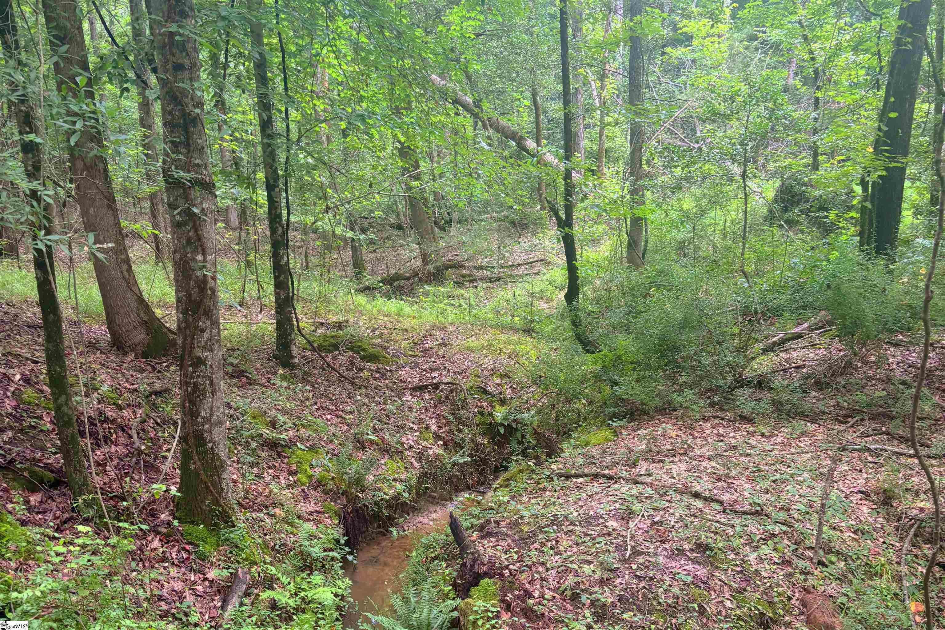 0 Harris Springs Road Cross Hill, SC 29332 - Photo 3 of 6 Gallery Image 3