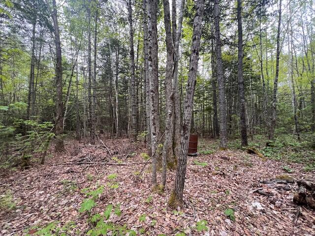 11-2 Bangor Road Linneus, ME 04730 - Photo 16 of 38 IMG_5133