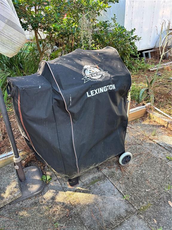 14348 Northeast 252nd Ct Road Fort McCoy, FL 32134 - Photo 38 of 51 a view of an outdoor space with porch