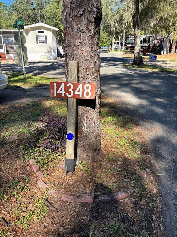 14348 Northeast 252nd Ct Road Fort McCoy, FL 32134 - Photo 45 of 51 a front view of a house with a yard and swimming pool