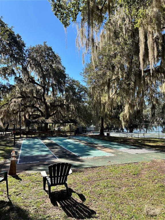 14348 Northeast 252nd Ct Road Fort McCoy, FL 32134 - Photo 50 of 51 a view of a swimming pool with an outdoor space