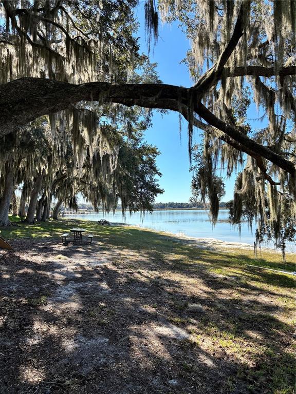 14348 Northeast 252nd Ct Road Fort McCoy, FL 32134 - Photo 51 of 51 a view of a yard