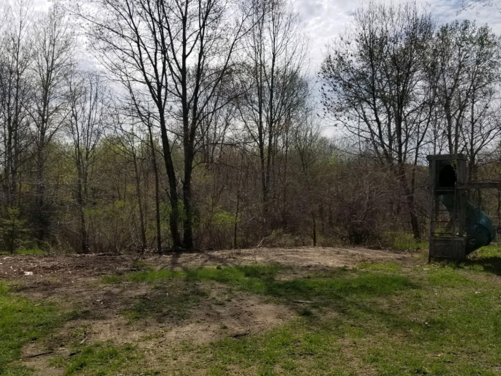 4524 North Backus Road Lakeview, MI 48850 - Photo 13 of 13 woods