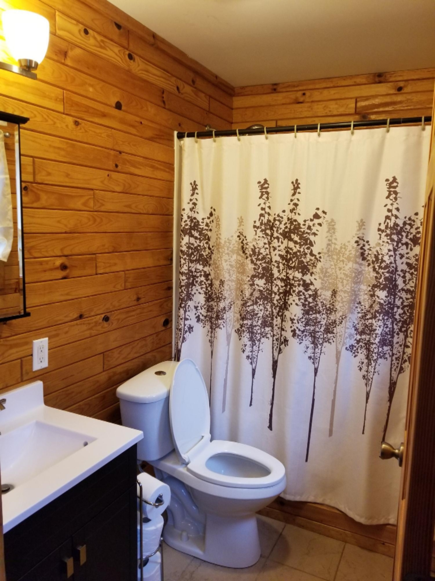 4524 North Backus Road Lakeview, MI 48850 - Photo 6 of 13 20190506_190104
