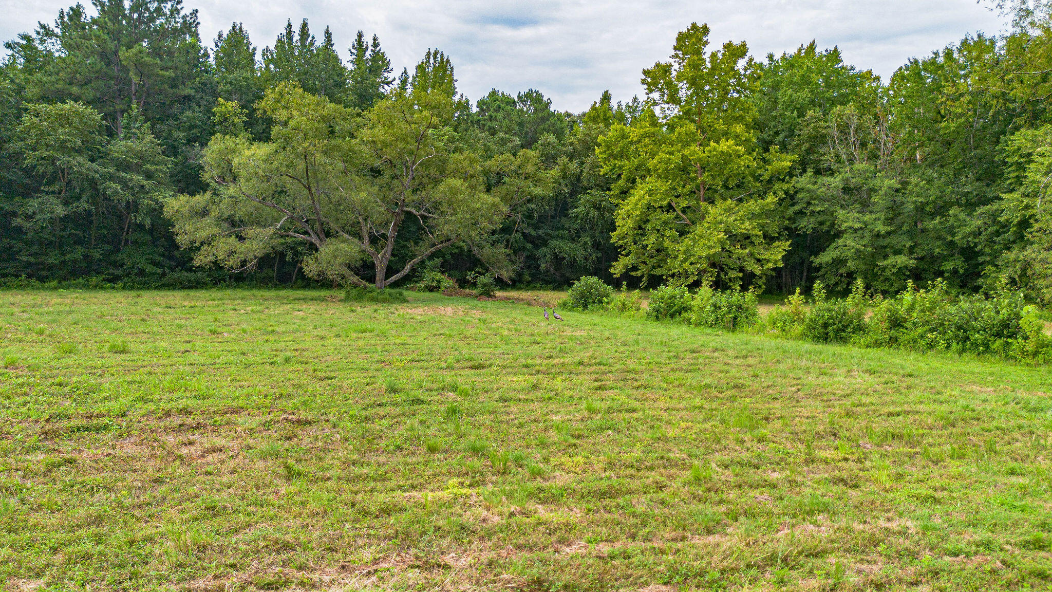 829 Poplar Springs Road Murray, KY 42071 - Photo 30 of 58 829PoplarSprings-113