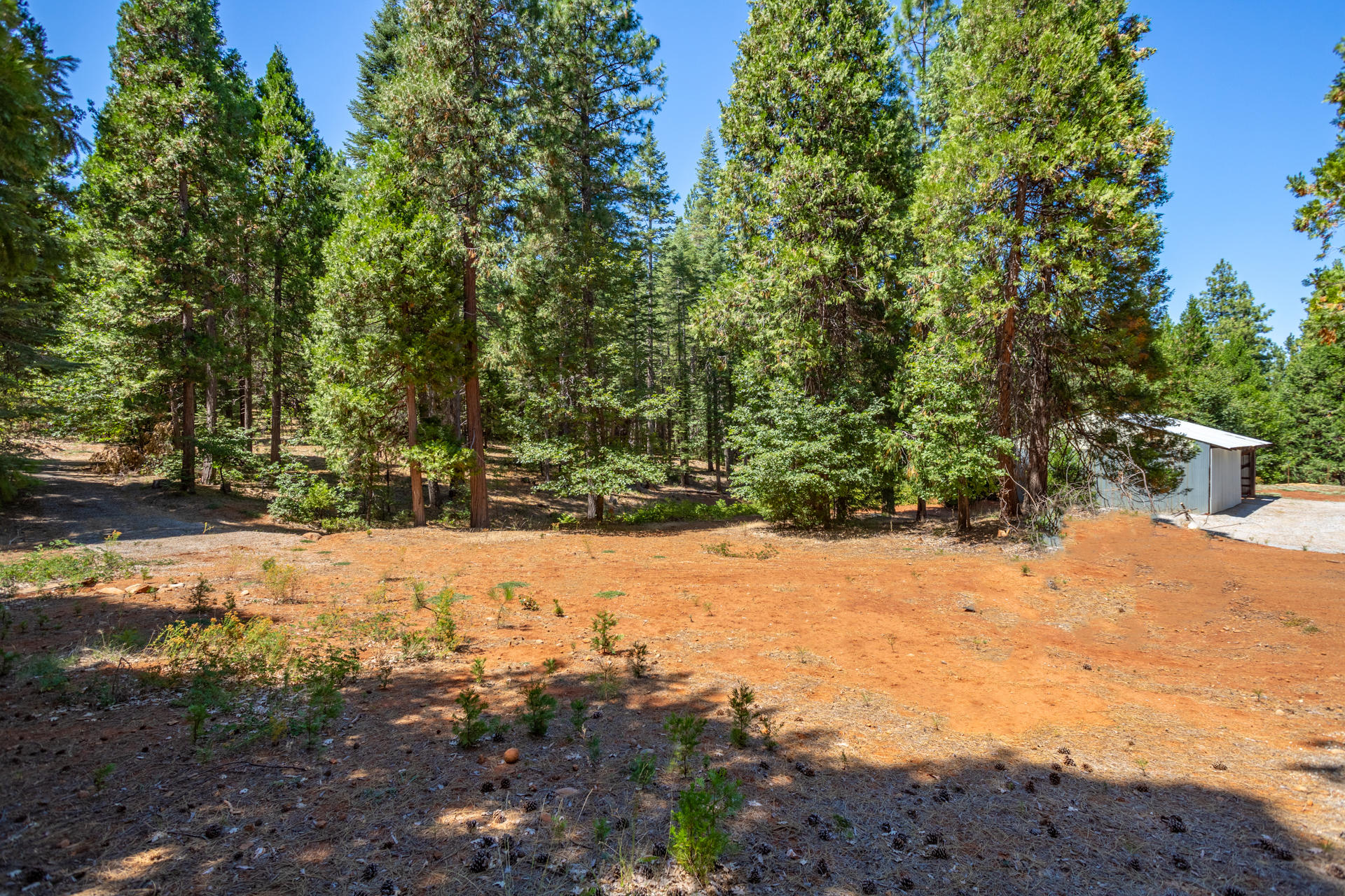 30620 Shingletown Ridge Road Shingletown, CA 96088 - Photo 11 of 23 50 building pad