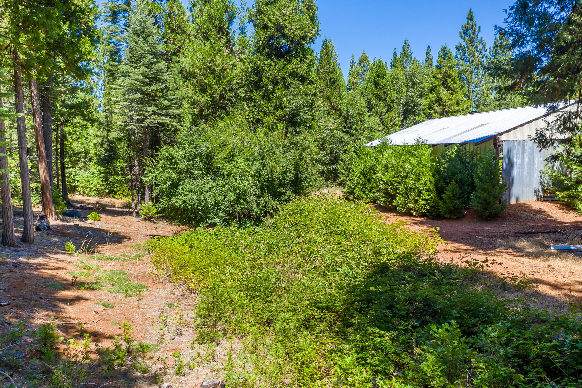 30620 Shingletown Ridge Road Shingletown, CA 96088 - Photo 12 of 23 80 back of barn creek
