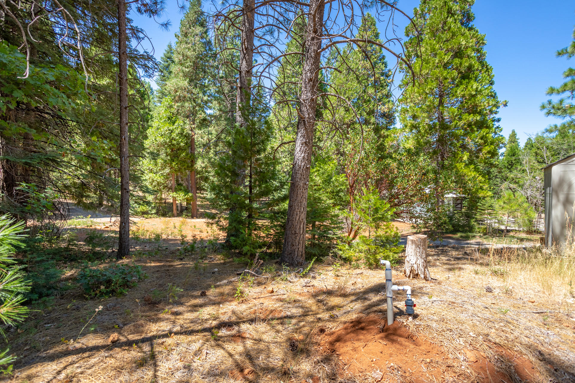 30620 Shingletown Ridge Road Shingletown, CA 96088 - Photo 13 of 23 99 water hookups