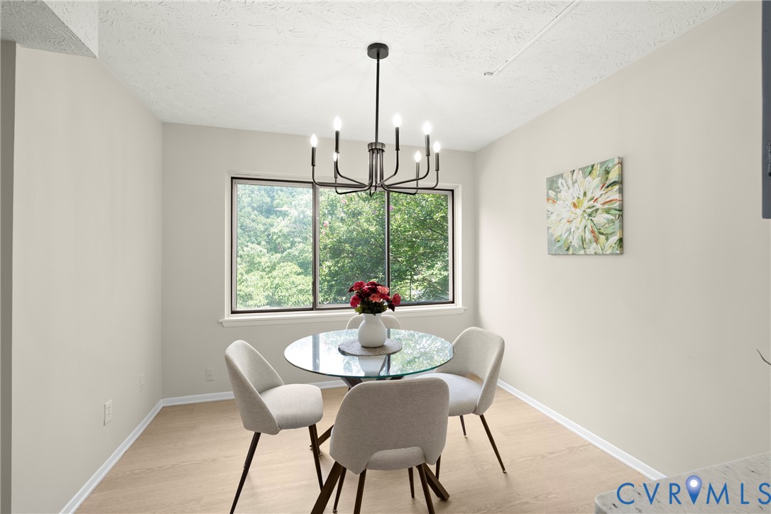 1503 Bronwyn Road, Unit 203 Henrico, VA 23238 - Photo 11 of 30
