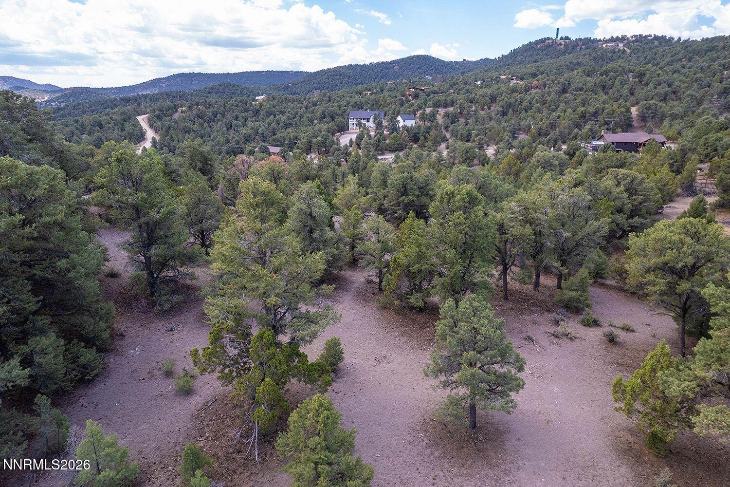 21561 Colt Drive Reno, NV 89521 - Photo 3 of 4 an aerial view of green landscape with trees houses and mountain view