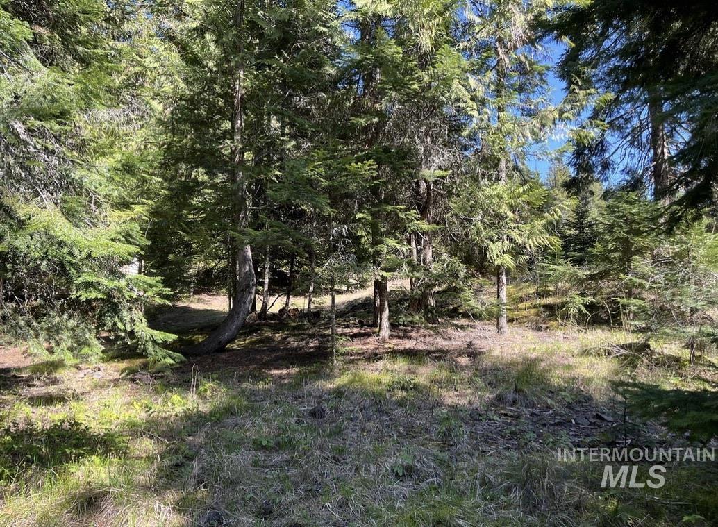 936 Red Fir Road Kooskia, ID 83539 - Photo 16 of 29