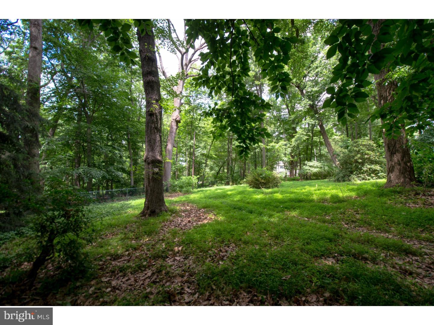 100 Fairhill Road Huntingdon Valley, PA 19006 - Photo 21 of 24 Gallery Image 21