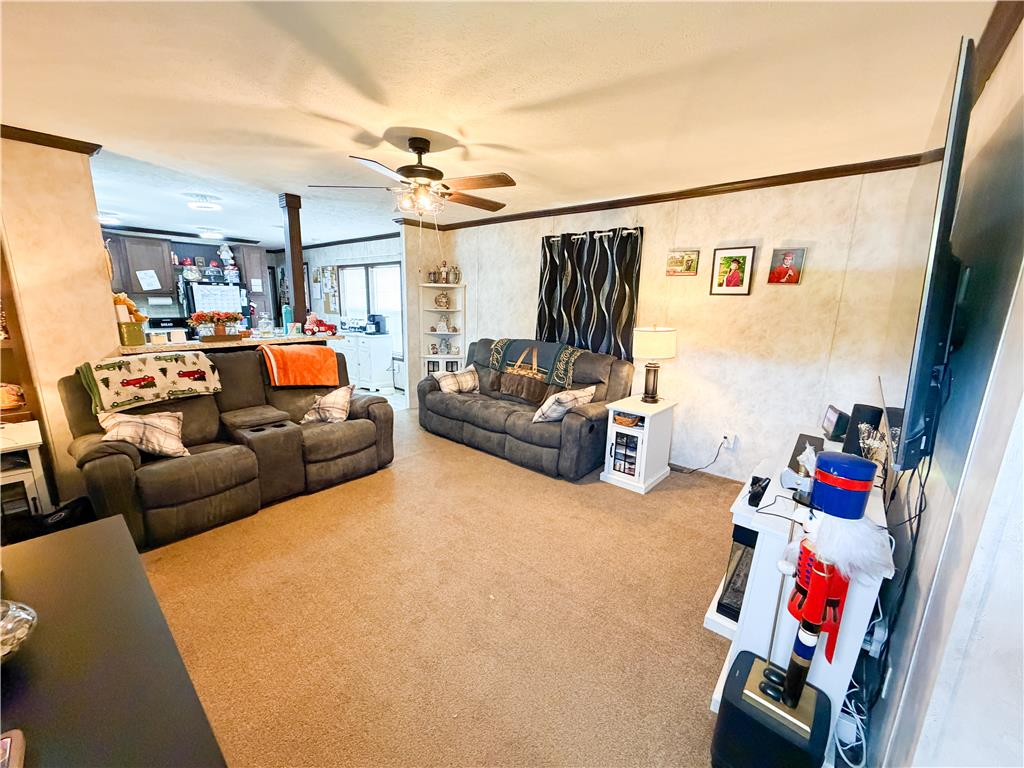 49 Ritz Craft Street Walnutport, PA 18088 - Photo 5 of 17 A comfortable living room features a ceiling fan, carpet flooring, and an inviting atmosphere.
