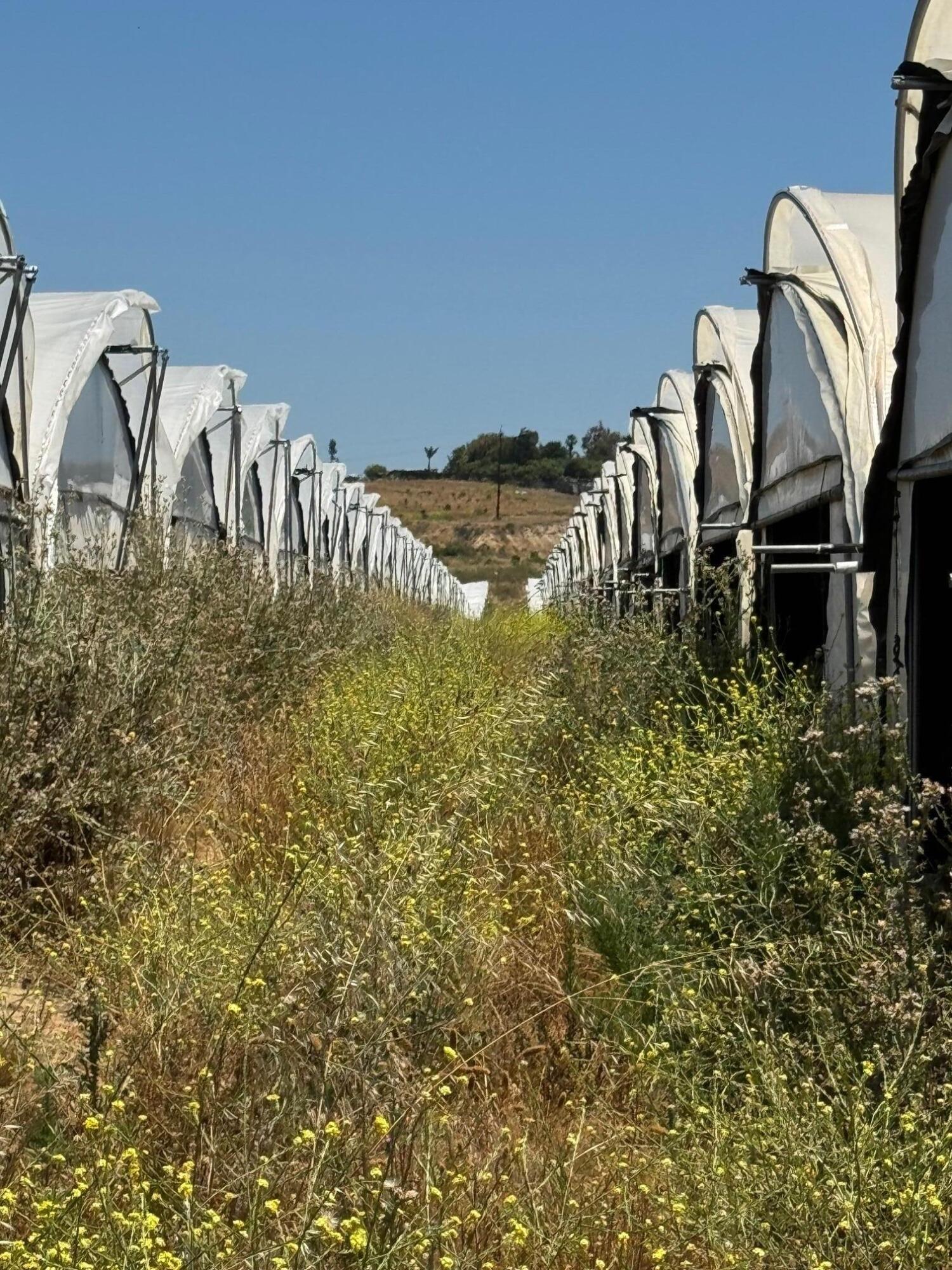 2140 Sweeney Road Lompoc, CA 93436 - Photo 41 of 63 Hoop Access Road