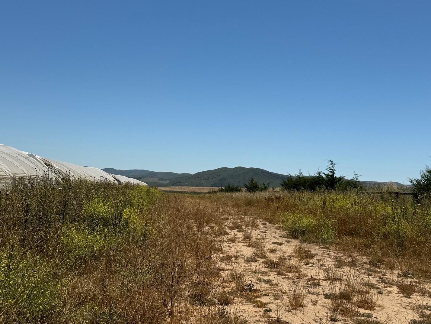 2140 Sweeney Road Lompoc, CA 93436 - Photo 45 of 63 Looking West 2